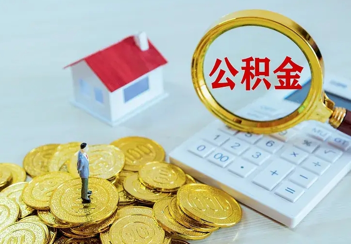 扶余个人怎么提住房公积金（个人如何提出公积金）